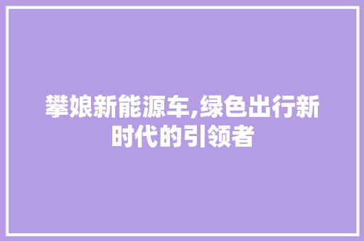 攀娘新能源车,绿色出行新时代的引领者  第1张