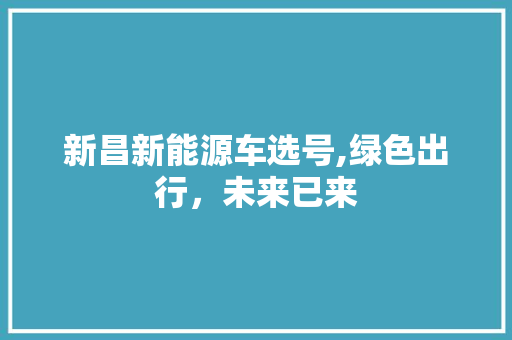 新昌新能源车选号,绿色出行，未来已来