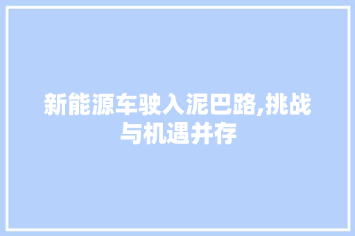新能源车驶入泥巴路,挑战与机遇并存