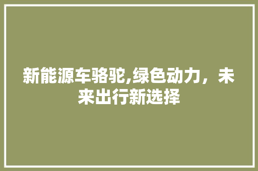 新能源车骆驼,绿色动力，未来出行新选择  第1张