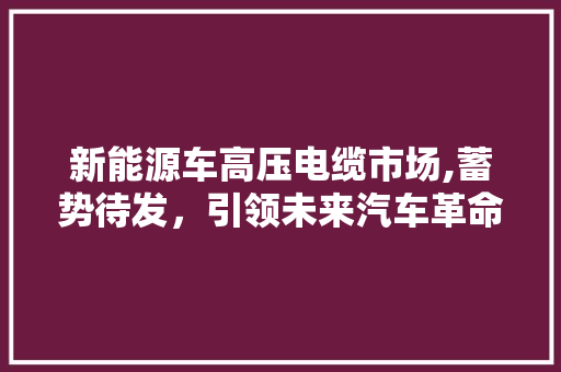 新能源车高压电缆市场,蓄势待发，引领未来汽车革命