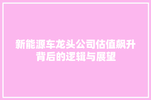 新能源车龙头公司估值飙升背后的逻辑与展望
