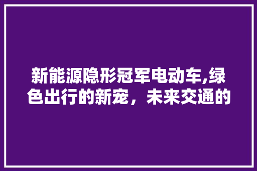 新能源隐形冠军电动车,绿色出行的新宠，未来交通的引领者