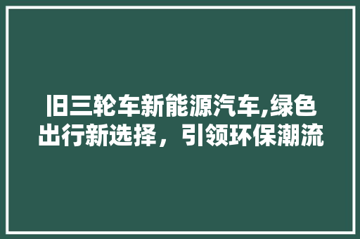 旧三轮车新能源汽车,绿色出行新选择，引领环保潮流