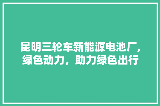 昆明三轮车新能源电池厂,绿色动力，助力绿色出行  第1张