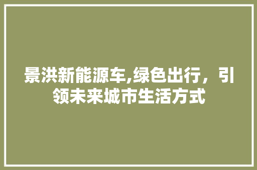 景洪新能源车,绿色出行，引领未来城市生活方式