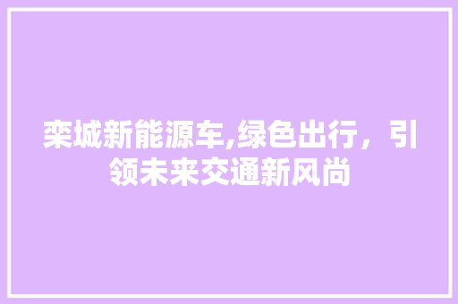 栾城新能源车,绿色出行，引领未来交通新风尚