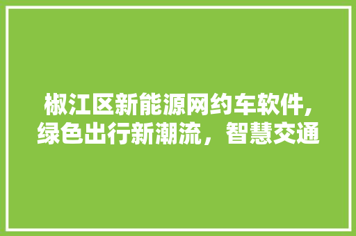 椒江区新能源网约车软件,绿色出行新潮流，智慧交通新篇章