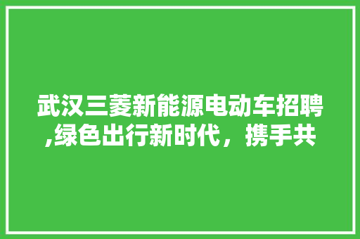 武汉三菱新能源电动车招聘,绿色出行新时代，携手共创美好未来