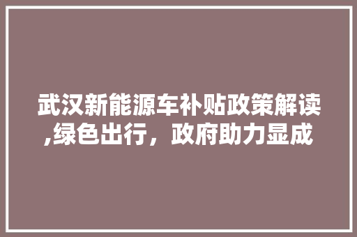 武汉新能源车补贴政策解读,绿色出行，政府助力显成效  第1张