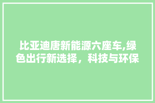 比亚迪唐新能源六座车,绿色出行新选择，科技与环保的完美融合