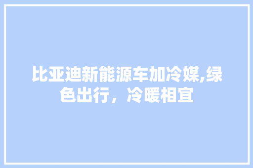 比亚迪新能源车加冷媒,绿色出行，冷暖相宜