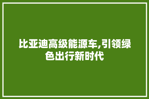 比亚迪高级能源车,引领绿色出行新时代