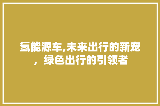 氢能源车,未来出行的新宠，绿色出行的引领者