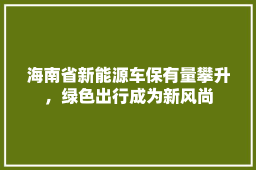 海南省新能源车保有量攀升，绿色出行成为新风尚