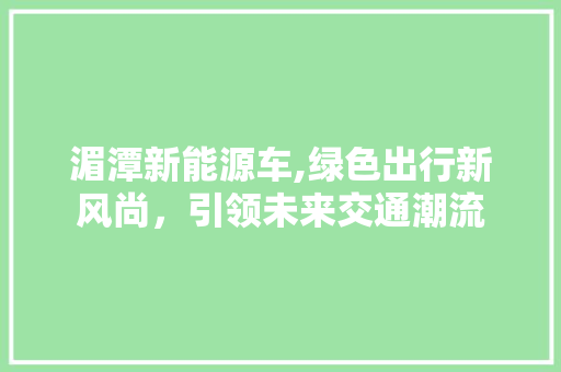 湄潭新能源车,绿色出行新风尚，引领未来交通潮流  第1张