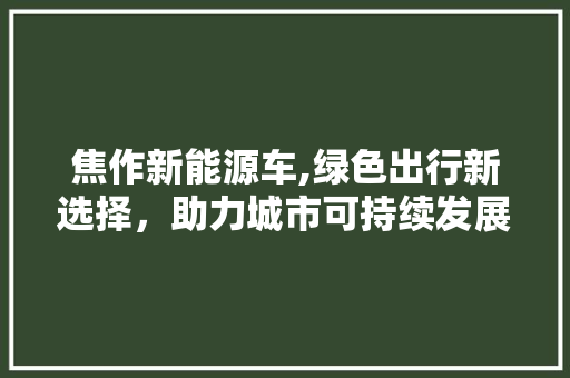 焦作新能源车,绿色出行新选择，助力城市可持续发展