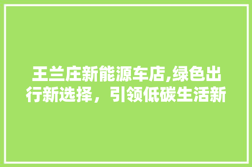 王兰庄新能源车店,绿色出行新选择，引领低碳生活新风尚