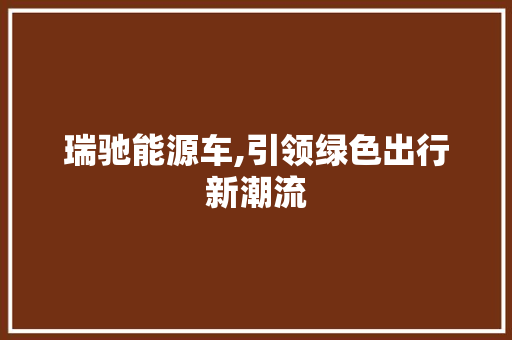 瑞驰能源车,引领绿色出行新潮流