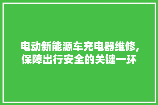 电动新能源车充电器维修,保障出行安全的关键一环  第1张