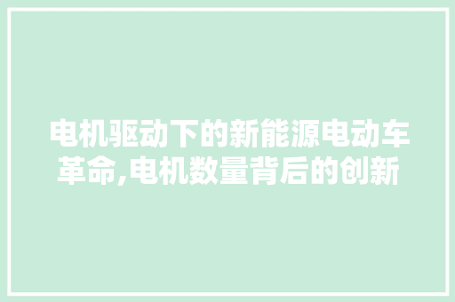 电机驱动下的新能源电动车革命,电机数量背后的创新与挑战