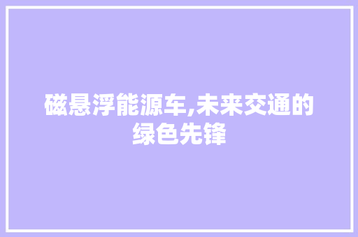 磁悬浮能源车,未来交通的绿色先锋