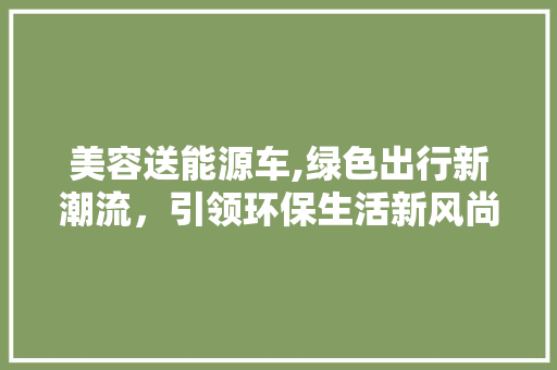 美容送能源车,绿色出行新潮流，引领环保生活新风尚