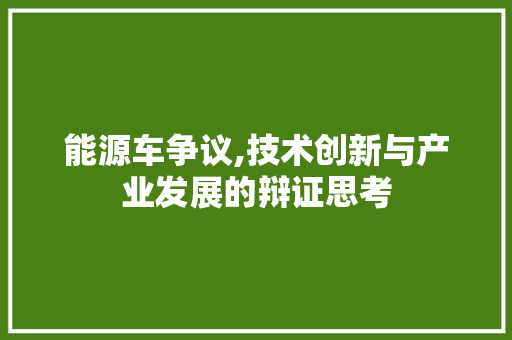 能源车争议,技术创新与产业发展的辩证思考