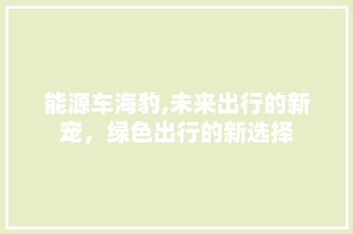 能源车海豹,未来出行的新宠，绿色出行的新选择
