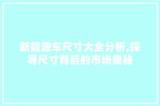 新能源车尺寸大全分析,探寻尺寸背后的市场奥秘