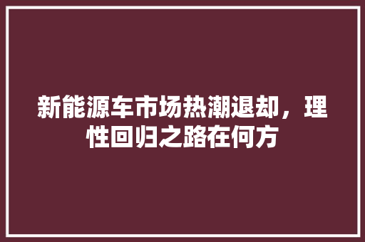 新能源车市场热潮退却，理性回归之路在何方