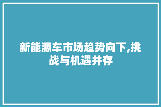 新能源车市场趋势向下,挑战与机遇并存  第1张