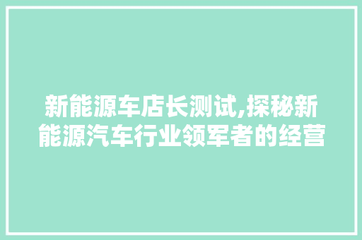 新能源车店长测试,探秘新能源汽车行业领军者的经营之路