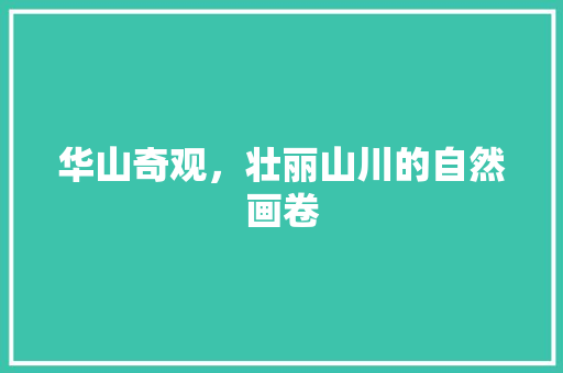 华山奇观，壮丽山川的自然画卷