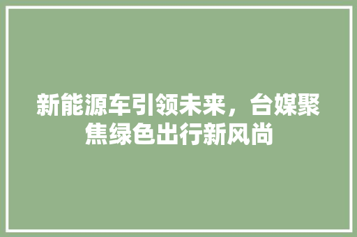新能源车引领未来，台媒聚焦绿色出行新风尚