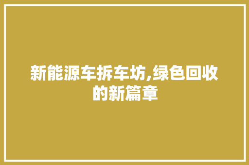 新能源车拆车坊,绿色回收的新篇章  第1张