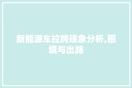 新能源车拉胯现象分析,困境与出路  第1张