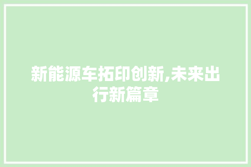 新能源车拓印创新,未来出行新篇章  第1张