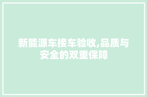新能源车接车验收,品质与安全的双重保障
