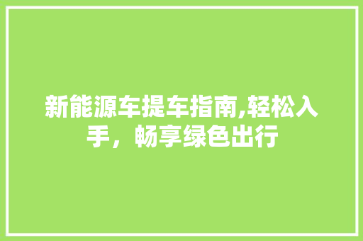 新能源车提车指南,轻松入手，畅享绿色出行