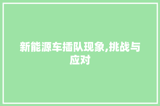 新能源车插队现象,挑战与应对