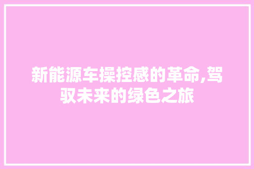 新能源车操控感的革命,驾驭未来的绿色之旅  第1张