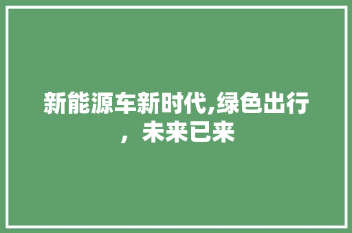新能源车新时代,绿色出行，未来已来  第1张