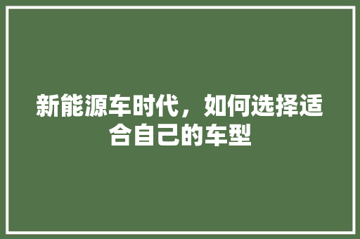 新能源车时代，如何选择适合自己的车型  第1张