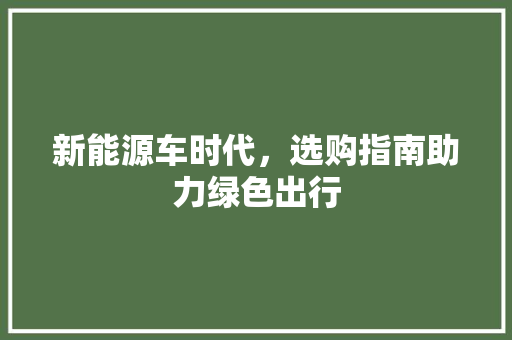 新能源车时代，选购指南助力绿色出行
