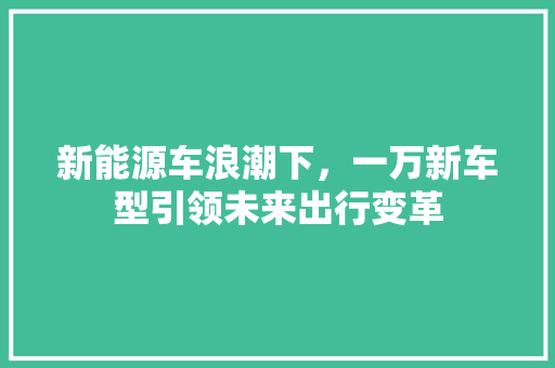 新能源车浪潮下，一万新车型引领未来出行变革