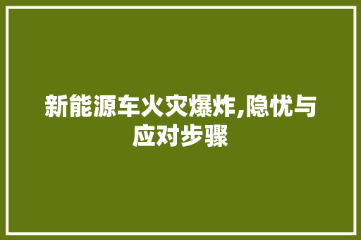 新能源车火灾爆炸,隐忧与应对步骤