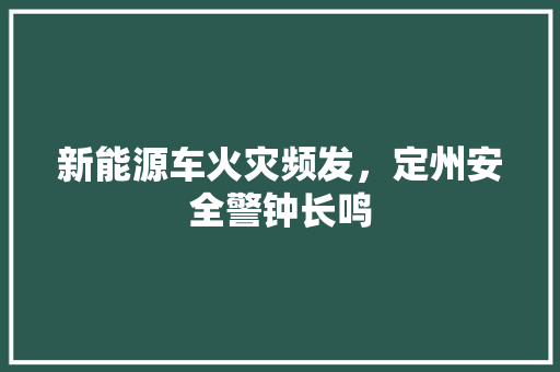 新能源车火灾频发，定州安全警钟长鸣