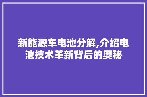 新能源车电池分解,介绍电池技术革新背后的奥秘  第1张