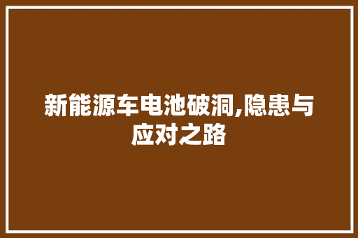 新能源车电池破洞,隐患与应对之路  第1张